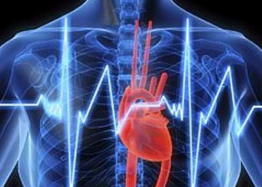 9 tévhit, ami kicsinálja a szívrendszert